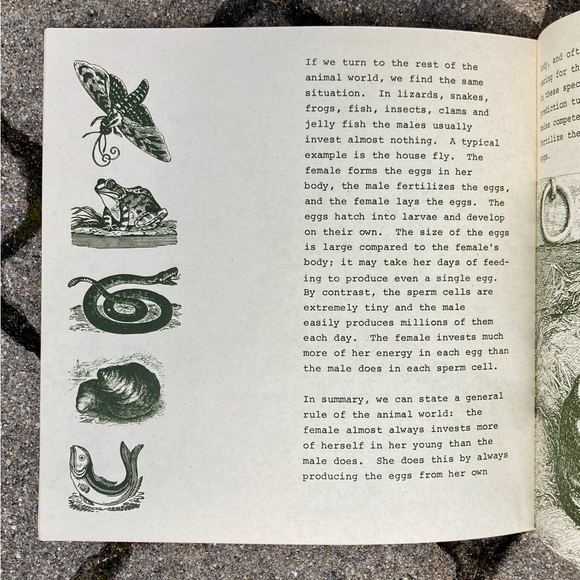 1971 Male Female Diffences in Animals Nature Education Development Center Book - Picture 5 of 14